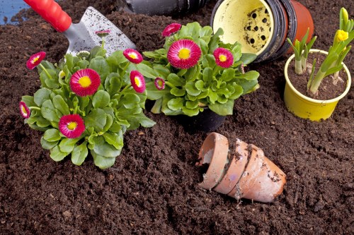 Landscape gardeners designing a welcoming Eltham garden