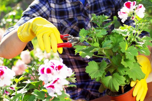 Healthy green lawn maintenance in Eltham