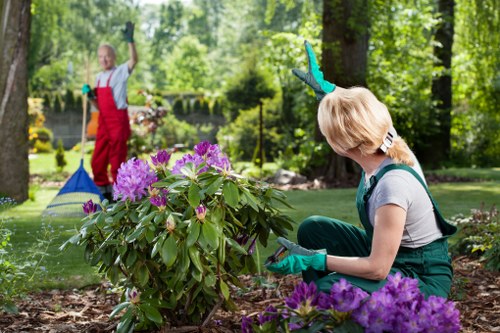 Professional planting services creating a landscaped garden in Eltham