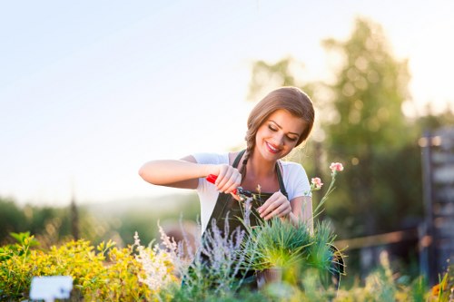 Professional hedge trimming in an Eltham residential garden
