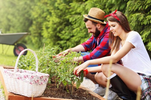 Accessibility-focused landscaping content for Eltham on a webpage
