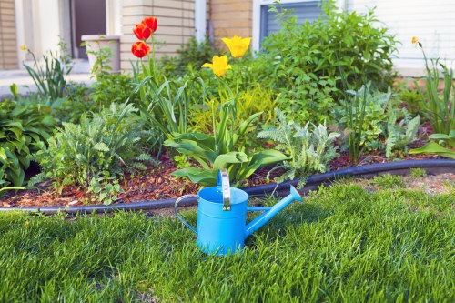 Front yard planting design improving kerb appeal in Eltham