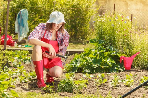 Removal of green waste and debris during garden clearance