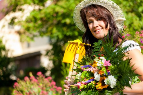 Seasonal lawn care and grass treatment in Eltham