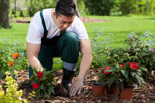 Native and ornamental plants arranged by planting services in Eltham