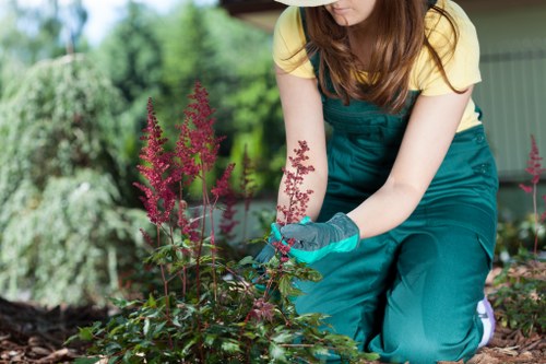 Mid-project garden landscape in Eltham with planting and hardscape
