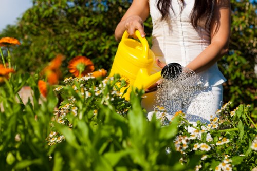 Team member assessing labour standards in a landscaping supply chain