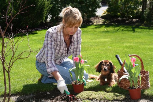 A tidy landscaping site with waste stored safely during clean-up