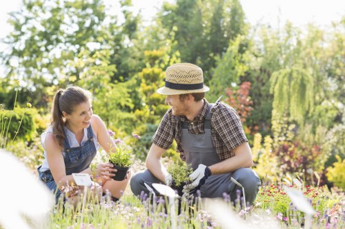 Lawn care and edging as part of garden maintenance in Eltham